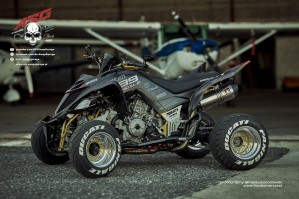22 Ducati 1199 Panigale ATV Swap Garage profil