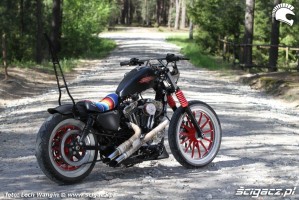 08 Custom Hell Ride Harley Davidson Sportster bok