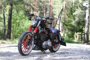 12 Harley Davidson Sportster w plenerze