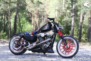 15 Custom Hell Ride Harley Davidson Sportster