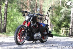 17 Custom Hell Ride Harley Davidson Sportster