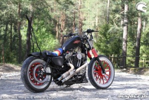 18 Custom Hell Ride Harley Davidson Sportster