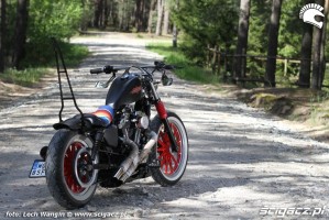 19 Custom Hell Ride Harley Davidson Sportster