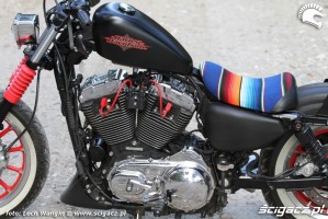 21 Custom Hell Ride Harley Davidson Sportster motor