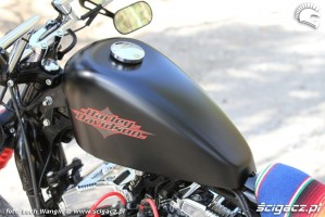 24 Custom Hell Ride Harley Davidson Sportster z bliska
