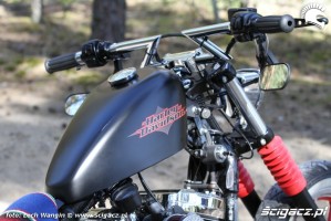 26 Custom Hell Ride Harley Davidson Sportster bak