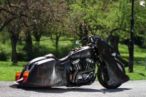 18 Harley Davidson Sportster 1200 Led Sled custom przyroda
