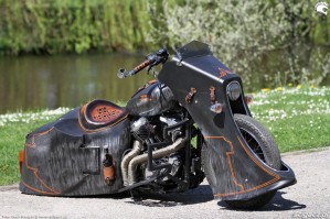 19 Harley Davidson Sportster 1200 Led Sled natura