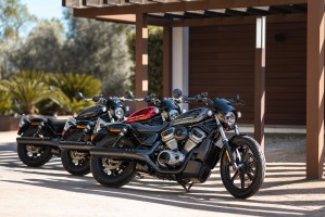 15 Harley Davidson Nightster 2022 trojaczki