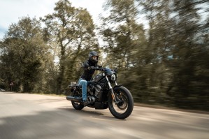 29 Harley Davidson Nightster 2022