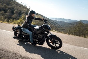 35 Harley Davidson Nightster 2022