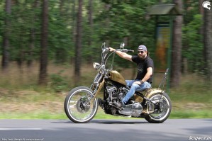 02 Harley Davidson FXST Softail Standard custom w akcji