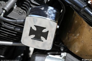 17 Harley Davidson FXST Softail Standard custom detale