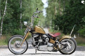 25 Harley Davidson FXST Softail Standard custom