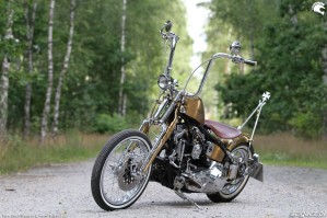 27 Harley Davidson FXST Softail Standard custom