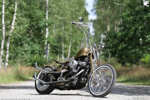 28 Harley Davidson FXST Softail Standard custom