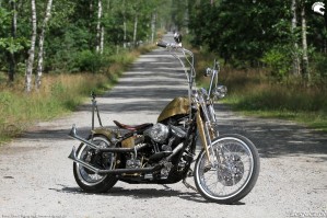 29 Harley Davidson FXST Softail Standard custom