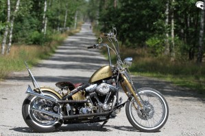 31 Harley Davidson FXST Softail Standard custom