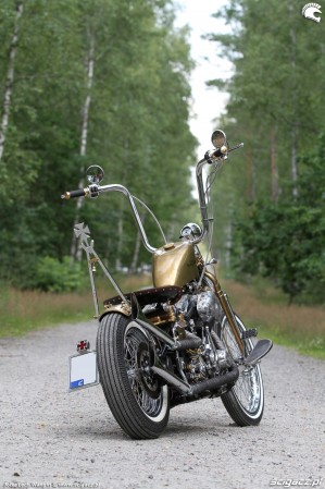 38 Harley Davidson FXST Softail Standard custom
