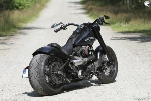 09 Harley Davidson Heritage Softail Classic Custom tylem