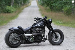 14 Harley Davidson Heritage Softail Classic Custom w lesie