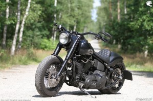 17 Harley Davidson Heritage Softail Classic Custom