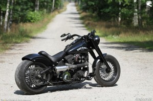 20 Harley Davidson Heritage Softail Classic Custom