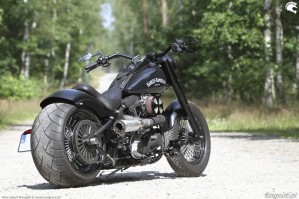 21 Harley Davidson Heritage Softail Classic Custom