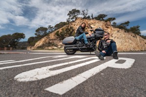 41 Harley Davidson Low Rider ST