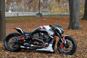 05 Harley Davidson V rod Grunwald