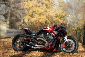 08 Harley Davidson V rod Mephisto