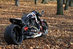 36 Harley Davidson V rod