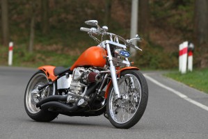 08 Harley Davidson Softail custom statyka