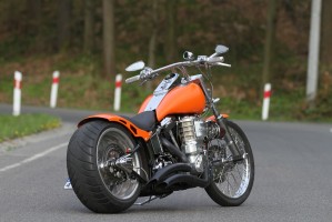 14 custom bike Harley Davidson Softail