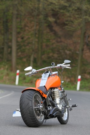 33 Harley Davidson Softail tyl