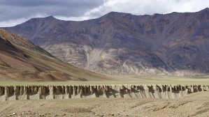 31 Motocykle w Himalajach Spotkanie na Przeleczy