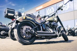 012 AF Motors Day 2024 dzien motocyklistow w Toruniu