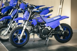 018 AF Motors Day 2024 dzien motocyklistow w Toruniu