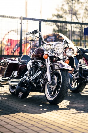 072 AF Motors Day 2024 dzien motocyklistow w Toruniu