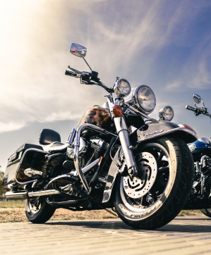 088 AF Motors Day 2024 dzien motocyklistow w Toruniu