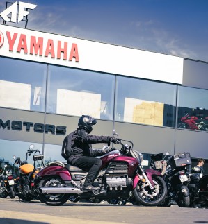 100 AF Motors Day 2024 dzien motocyklistow w Toruniu