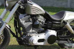 06 Harley Davidson Low Rider potezny silnik