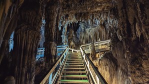 jaskinia w wietnamie