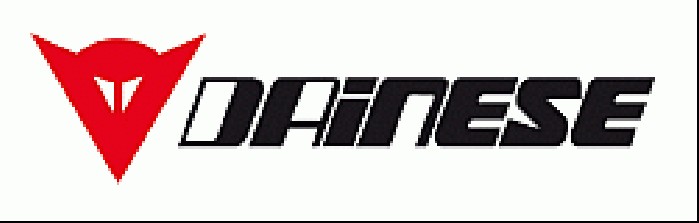 Dainese m