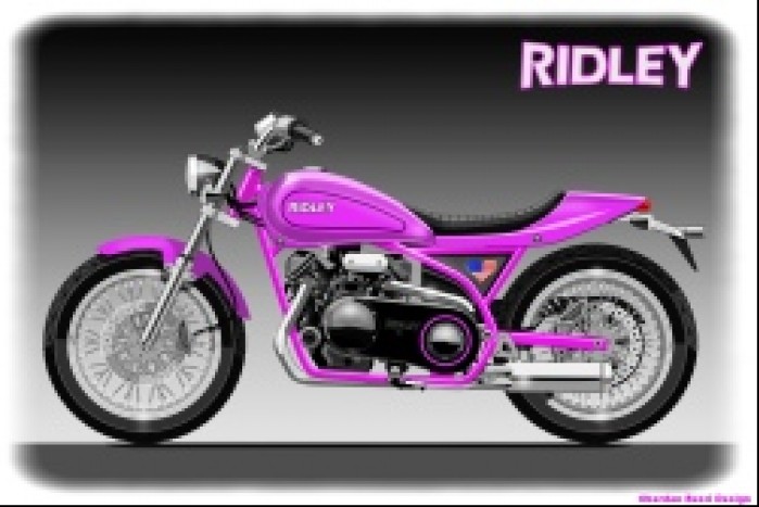 Ridley PINK LADY