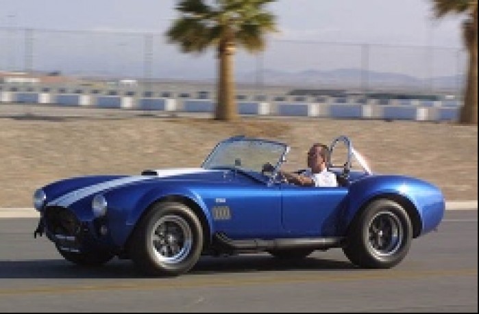 shelby 02