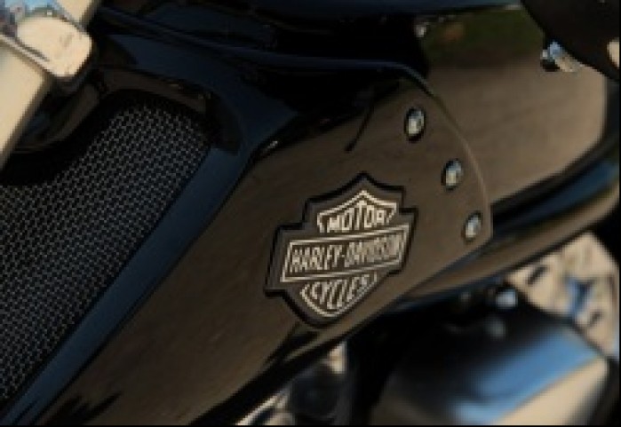 logo Harley Davidson V Rod Muscle