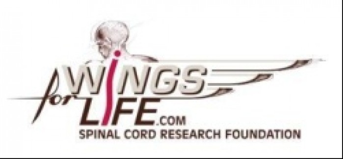 wingsforlife logo