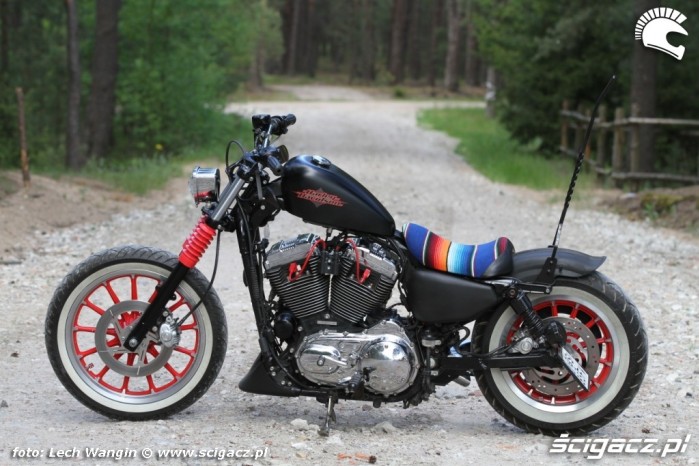 06 Custom Hell Ride Harley Davidson Sportster statyka