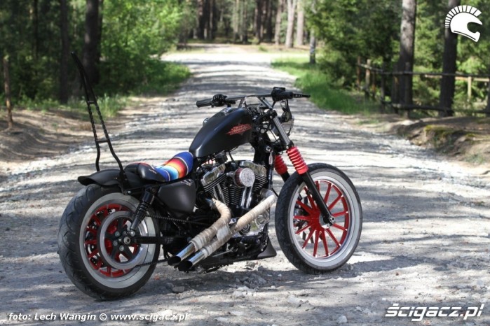 08 Custom Hell Ride Harley Davidson Sportster bok